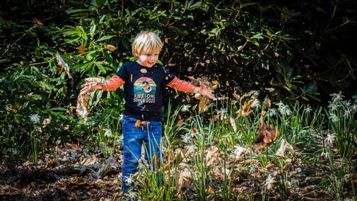 Boy throwing leaves in the gardens, Tatton Park, Cheshire